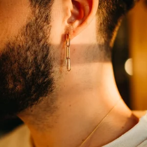 SarahBijoux Paper Clip Chain Earrings
